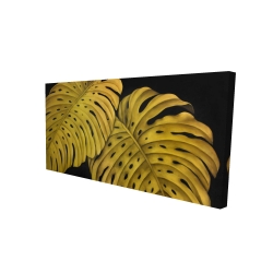 Gold monstera