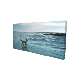 Dog on the beach