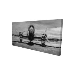 Avion en tons de gris