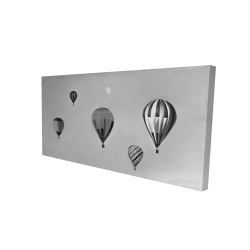 Air balloon landscape