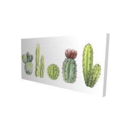 Ensemble de mini cactus