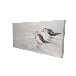 Deux oiseaux bécasseau