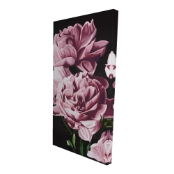 Pivoines roses