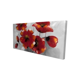 Anemone flowers