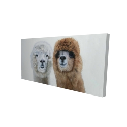 Two lamas