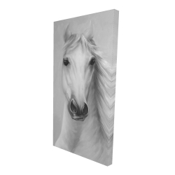 Cheval blanc puissant monochrome