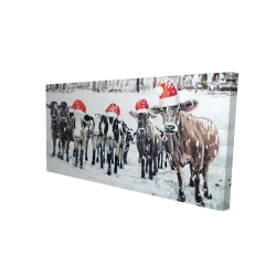 Curious christmas cows
