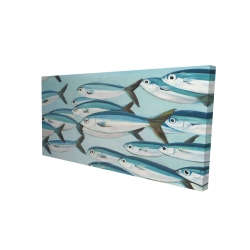Small fish of caesio caerulaurea
