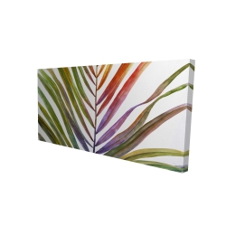 Feuille de palmier tropical