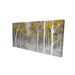 Yellow birch forest