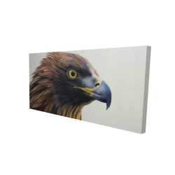 Brown-headed eagle