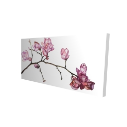 Branch of cherry blossoms