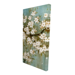 White cherry blossom