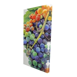 Colorful bunch of grapes