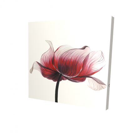 Anemone flower