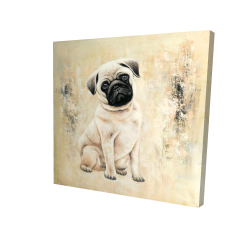 Small pug dog