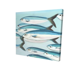 Small fish of caesio caerulaurea
