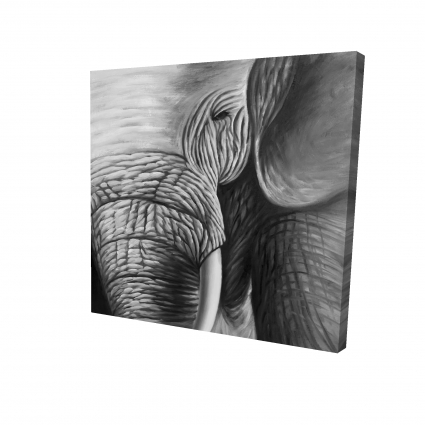 éléphant