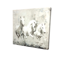 Three white horses running