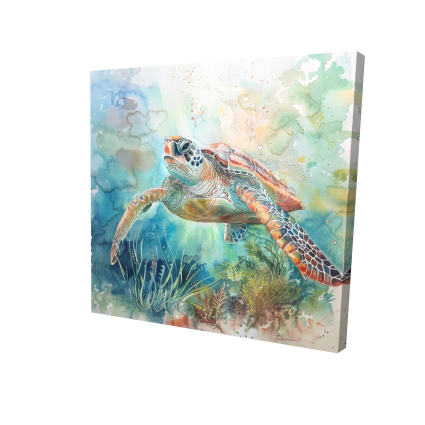 Turtle