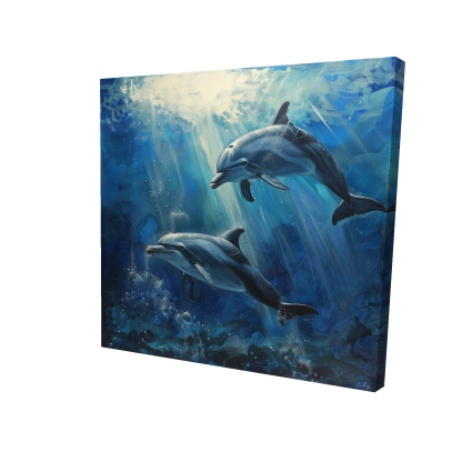 Dolphins