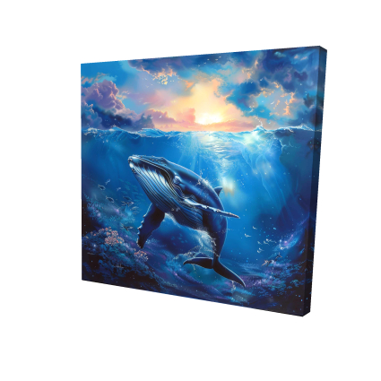Whale in the water