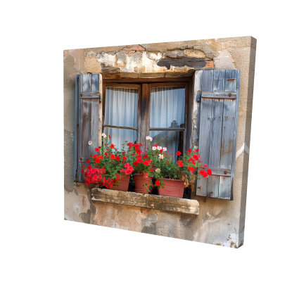 Flowers on the ledge