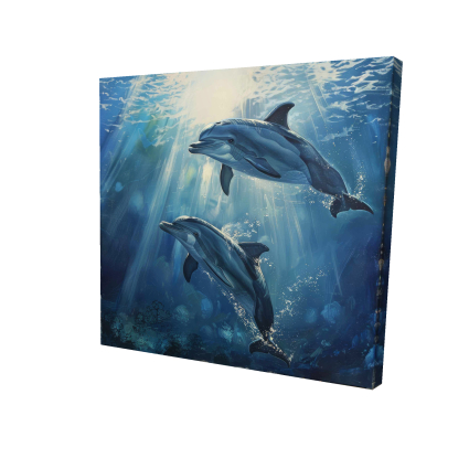 Two dolphins
