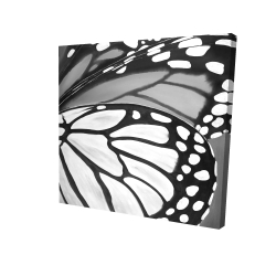 Butterfly wings closeup