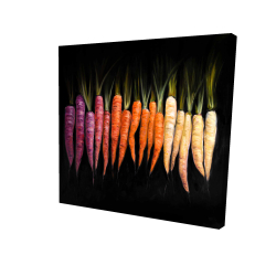 Colorful carrots