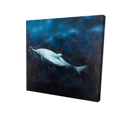 Swimming dolphin