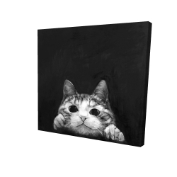 Chat curieux