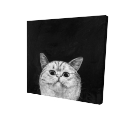 Watching cat