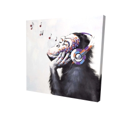 Monkey listening music