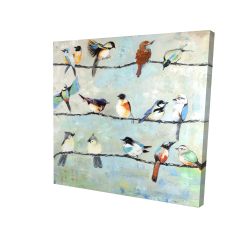 Petits oiseaux colorés
