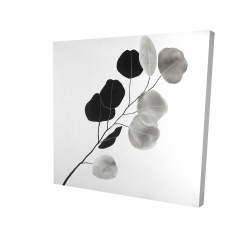 Branche en tons de gris et feuilles rondes
