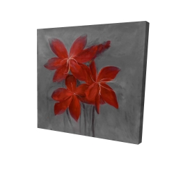 Asiatic lily