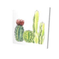 Quatre petits cactus