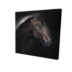 Cheval solitude