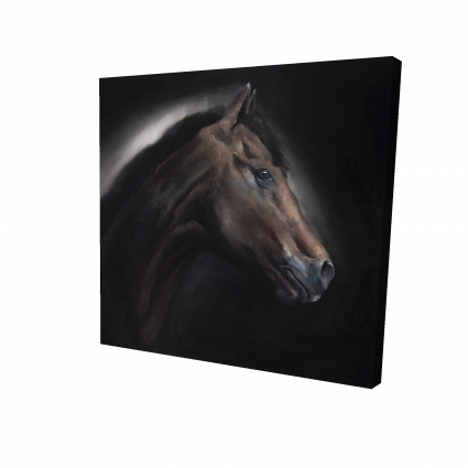 Cheval solitude