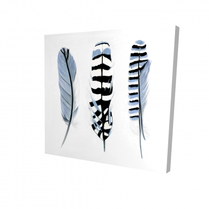 Delicate feathers