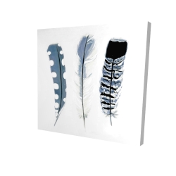 Plumes bleues délicates