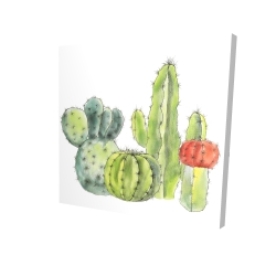 Rassemblement de petits cactus