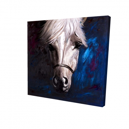 Cheval blanc sur fond bleu