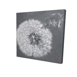 Blowing dandelion