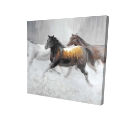 Troupeau de chevaux sauvages