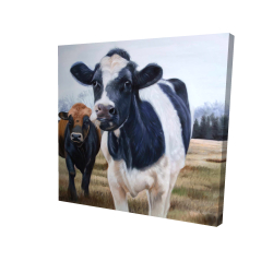 Deux vaches mangeant le foin