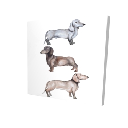 Chiens teckel