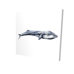 Baleine en aquarelle