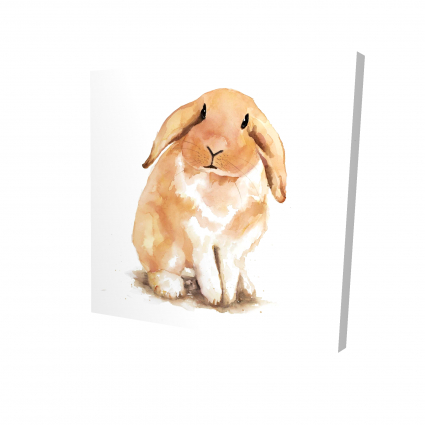 Lop-rabbit